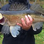 Semesterbostad Tarula Melkoniemi