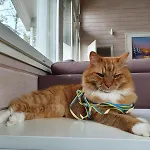 Tarula Semesterbostad Melkoniemi