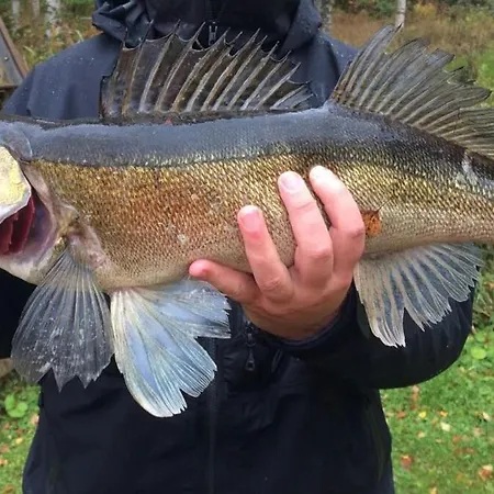 Casa de Férias Fishing Tarula Simpele Melkoniemi