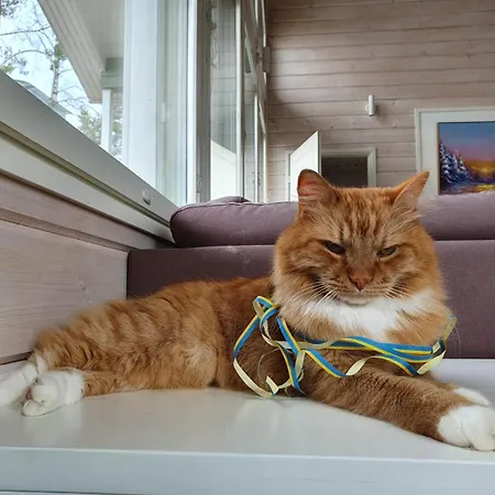 Tarula Semesterbostad Melkoniemi