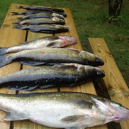 Casa de Férias Fishing Tarula Simpele