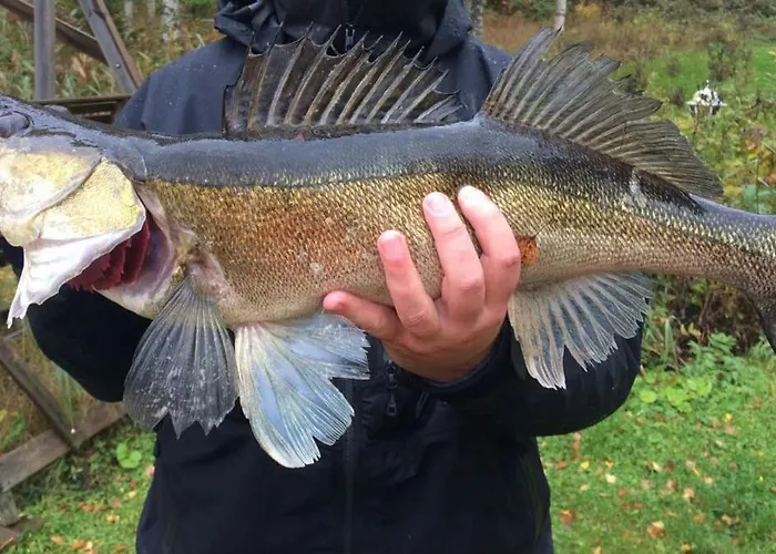 度假居 Tarula Melkoniemi