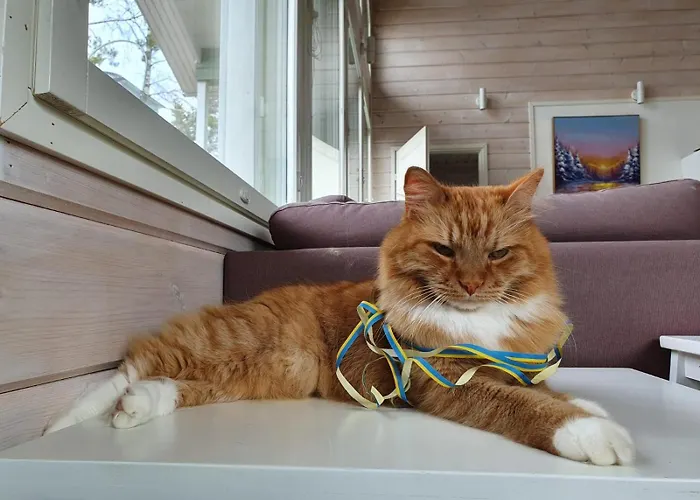 Tarula 度假居 Melkoniemi