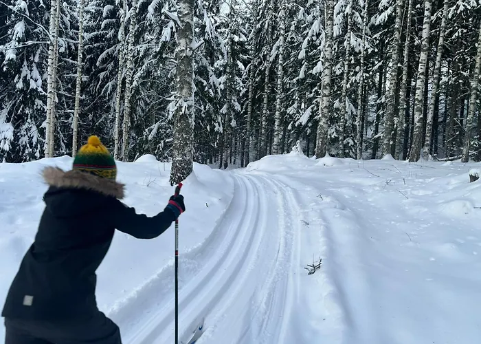 度假居 Tarula Melkoniemi